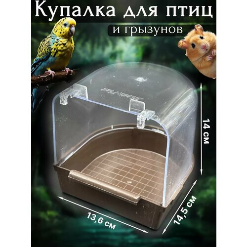 ���� �������, �������� ��� �����, �������, �������, ������ ������