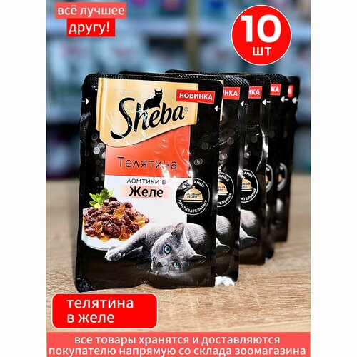     Sheba       10   75    -     , -  