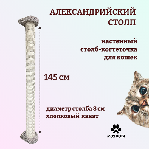 ���� ���������� ��� ����� ��������� ��� ���� 