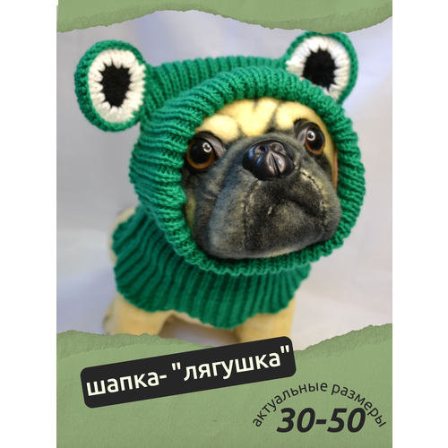 ���� �����-������� ��� ����� � ����� ������ � ������� �����, ����� ���� ��� ��������, ������ ������