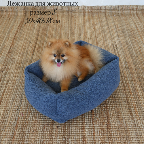 ���� ������� � �������� 