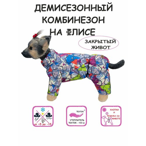     DOGMODA -    28   -     , -  