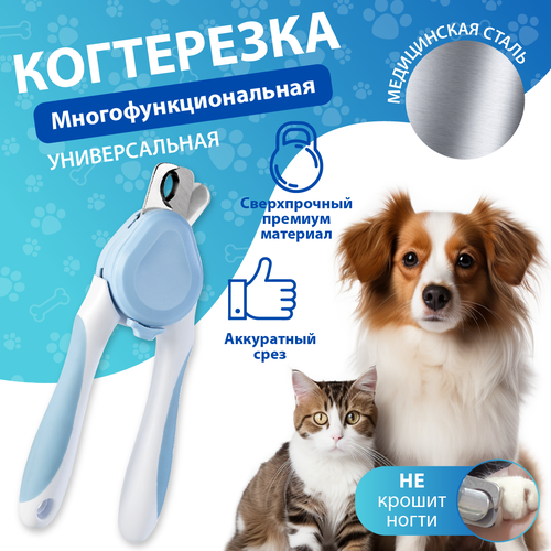 ���� ��������-�������, ������� ��� ����� � �����, ���������� ��� �������� � �������������, ������ ������