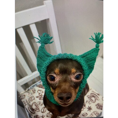 ���� ����� ��� ������ 