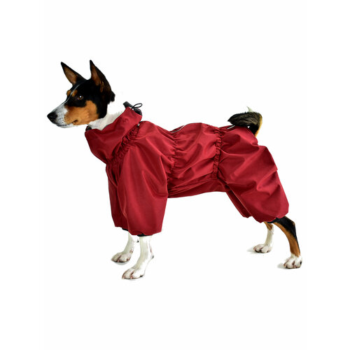 ���� ���������� �������� ���������� �� ����� ��� �����-������� �.12 ��. ��������, ������ ������