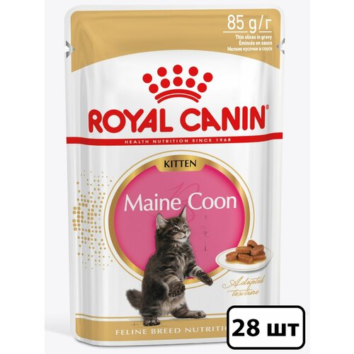  Royal Canin       ,    (28  ) 85    -     , -  