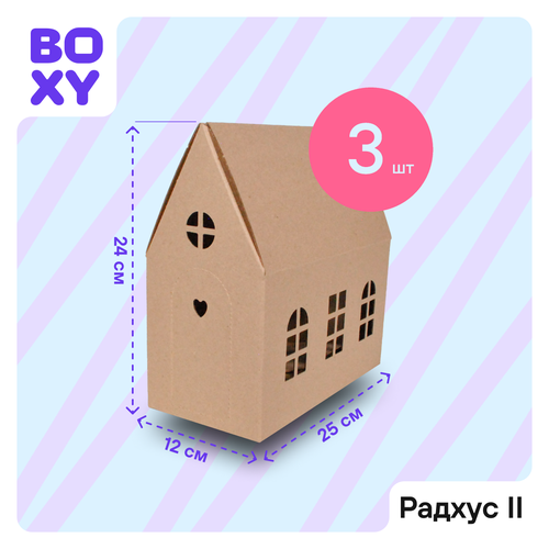          BOXY  II, 241225 ,  ,   3 .   -     , -  