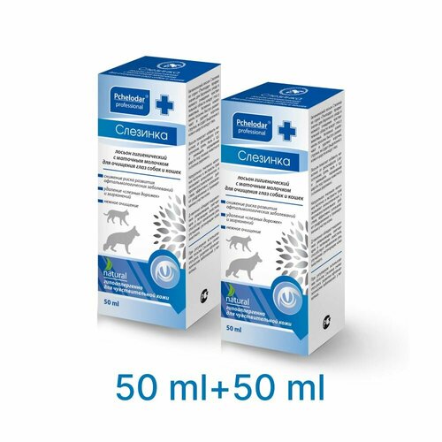 ���� ������ ������������� �������� 