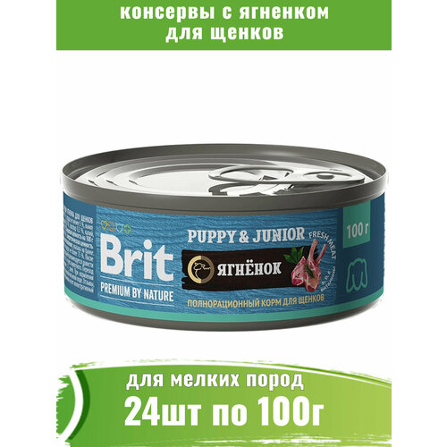  Brit Premium 24 100        -     , -  