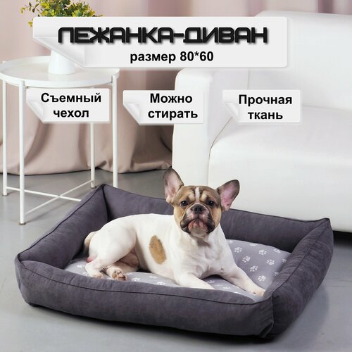 ���� �������-����� ��� ������� � ��� ������ ����� ����� �� ������� ������. ������ 80�60. �������, ������ ������