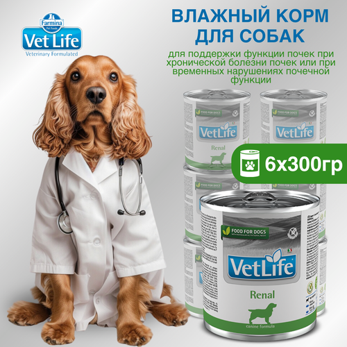  .   Farmina Vet Life Renal     , 300, 6 ,  