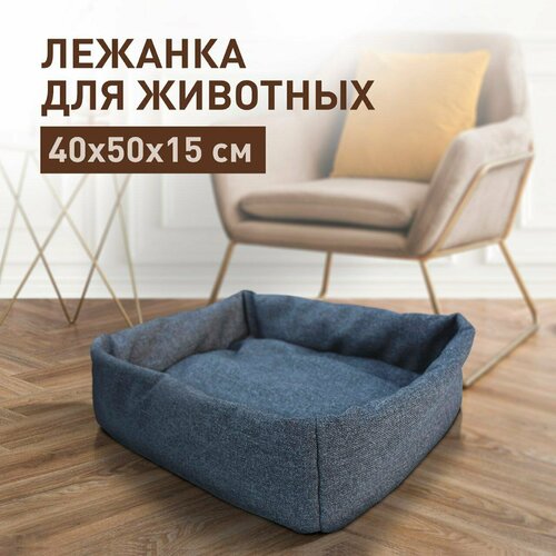 ���� ������� ��� �������� 