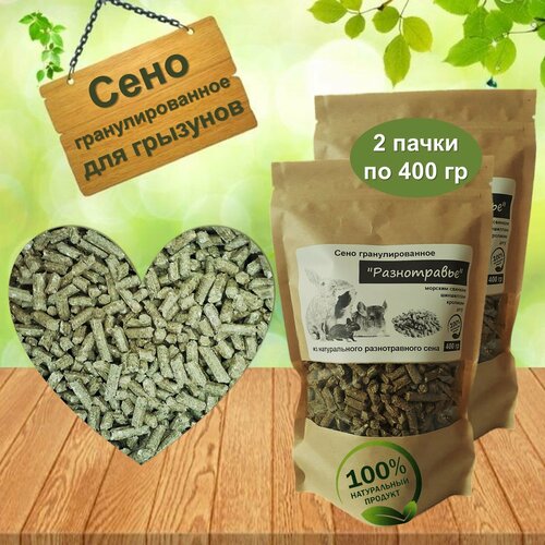 ���� ���� ��������������� 