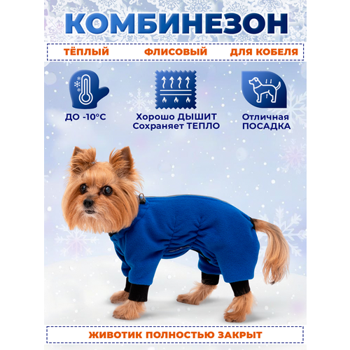 ���� ���������� ��� ����� �� ����� �� ������ �.28 (������) ������, ������ ������