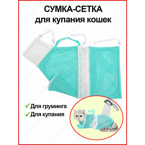 ���� ����� ����� ��� ����� � �������� ����� / ����� ��� �������, ������ ������