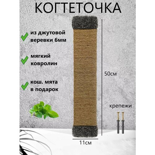 ���� ���������� �� �������� ������ 50�11��, ������ ������