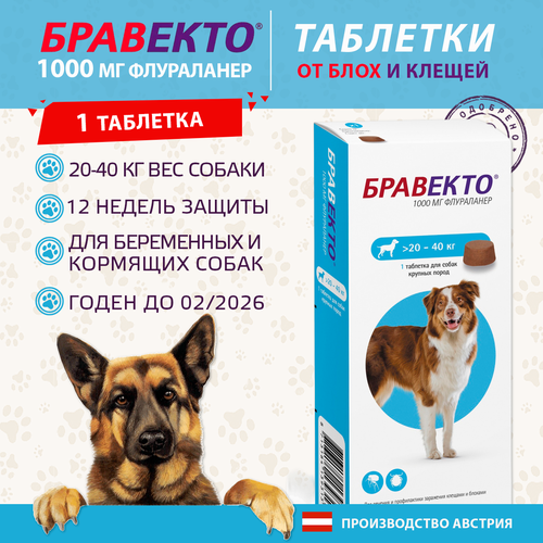 ���� �������� - �������� ��� ����� 20-40 ��. �� ���� � ������, 1 ����� � ��������, ������ ������