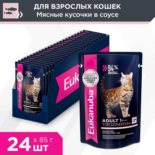      Eukanuba Top Condition,      ,   24 .  85  (  )   -     , -  