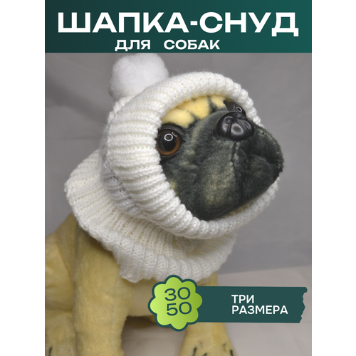 ���� �����-���� ��� ����� � ��������, ������ ������