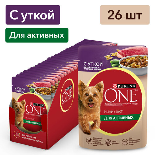      Purina ONE       ,       85  x 26    -     , -  