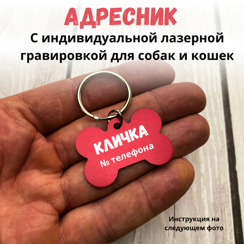 ���� �������� ������ ��� �������� � ������, ������ ������