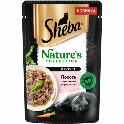  Sheba Natures /    / 75   28 .   -     , -  