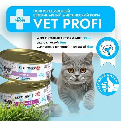    Best Dinner VET PROFI Urinary        (12  100)   -     , -  