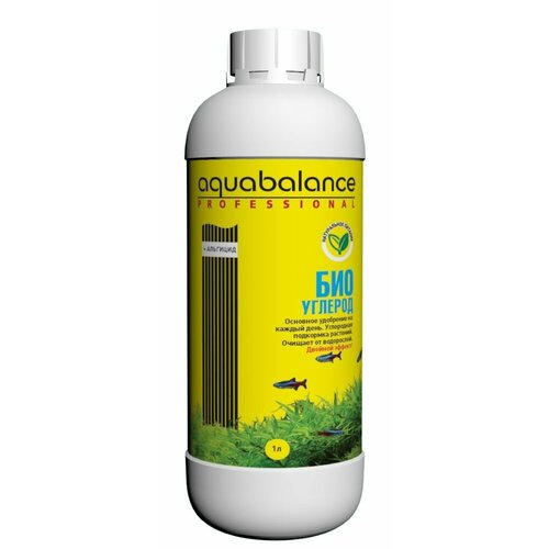 ���� ���������� ��� ��������� ���-������� 1000 ��, ������ ������