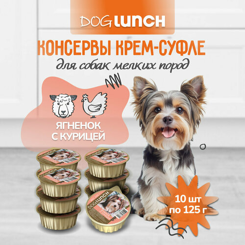      Dog Lunch ,  1 .  10 .  125    -     , -  