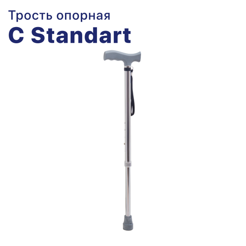   C Standart    -     , -  