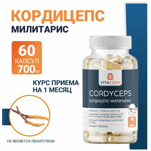    (Cordyceps militaris)  60 / 700    -     , -  