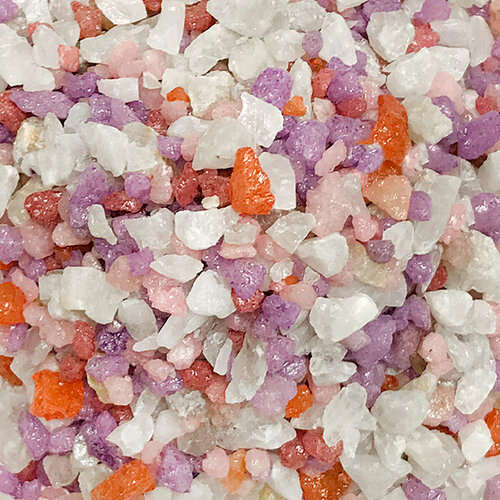 ���� ����������� ����� ��� ��������� ����������, ��� ����������� � ��������, Zoo One, ��������� ��������, ������� 