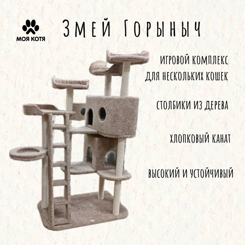 ���� ������� �������� ��� ���������� ����� ��� ���� 