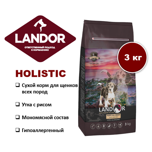  LANDOR        1  18     3    -     , -  