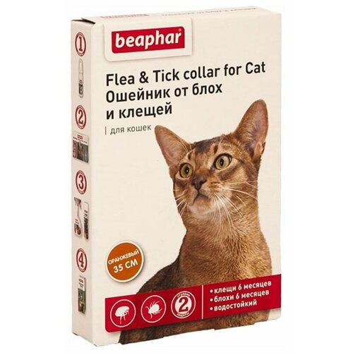  Beaphar      Flea & Tick.    , 35 ,  1 .  ., 1 .,  