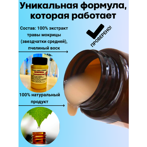 ���� ���� �������, ����� ������� (����������) �� ������� � ���������� ���������� ��������������, ��� �������� � ������, ��������������, ������, ������ ������