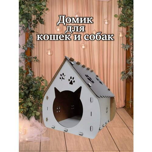 ���� ����� ��� ��������, �����, �����, �����, ������ ������