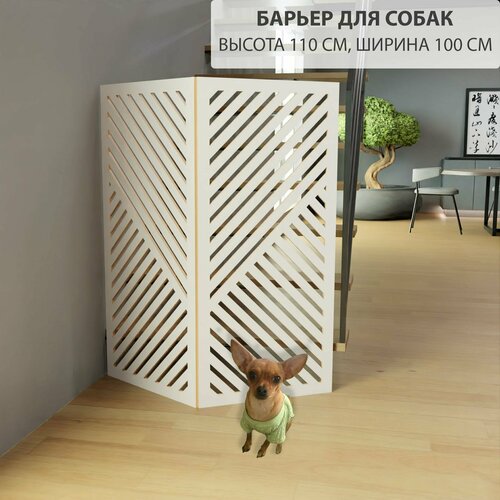 ���� ���������� ��� ��������. ������ ��� ������ . ������ ���������. 110 �� ������ ,100 �� ������, ������ ������