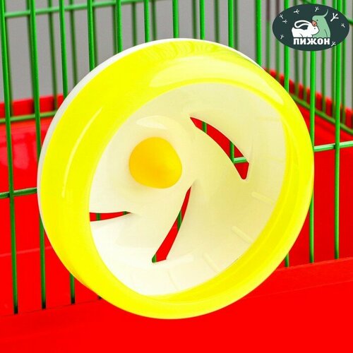 ���� ������ ��� �������� �����, 11 ��, �����, ������ ������