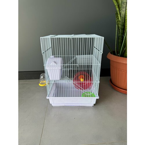 ���� ������ ��� �������� 30�23�41 ��, ��������� ������, ��������, ���, ����������, �����, ������ ������