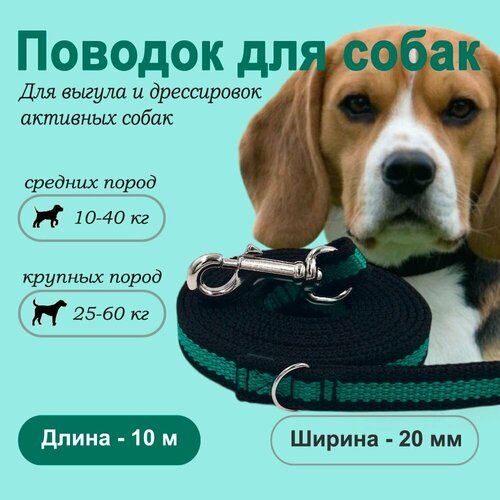 ���� ������� ��� ����� 20 ��, ����� 10 �, �����-�������, ������ ������