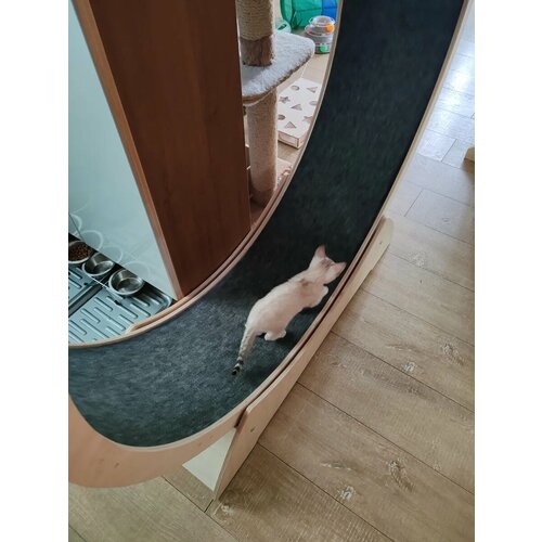 ���� ������� ������ ��� ����� 110��, ��� ��������, ������ ������