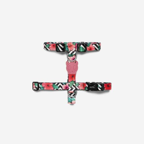 ���� ������ MAHALO Zee.Dog (������� / M), ������ ������