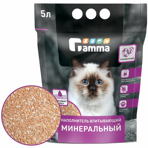 ���� ����������� ����������� ����� �����������, 5�, 1 ��., ������ ������