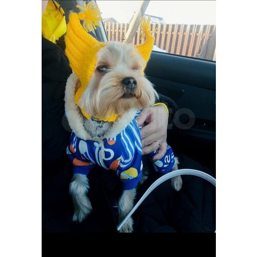 ���� ����� ��� ����� ������ ����� 