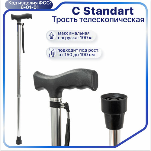 ���� ������ C Standart ����, ������ ������