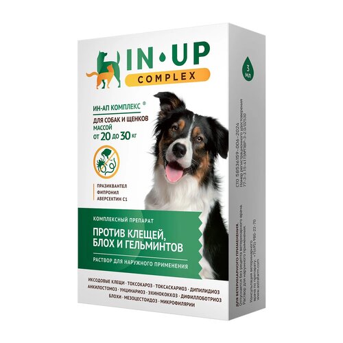 ���� ���������  ����� ������ ����- � ������������� ��-�� ��� ����� ������ �� 20 �� 30 �� 1 ��. � ��., 1 ��., ������ ������