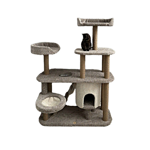 ���� ������� ��������-���������� ��� ���������� ����� ��� ���� 