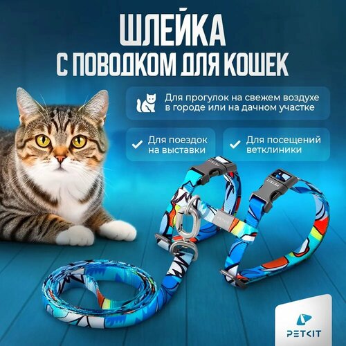 ���� ������ ��� ����� � �������� PETKIT, ������ ������