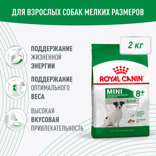  Royal Canin Mini Adult 8+      ( 10 )  8 , 2   -     , -  